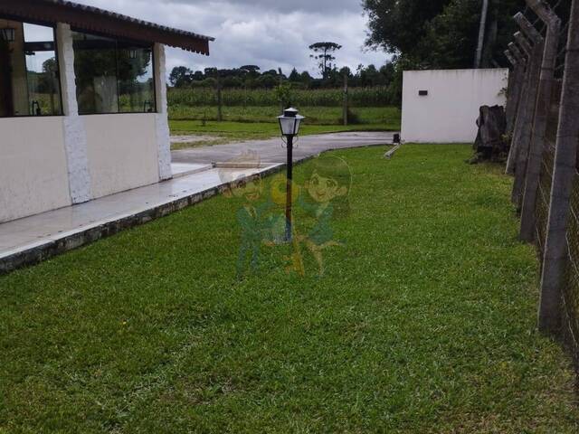 Área para Venda em Piraquara - 4