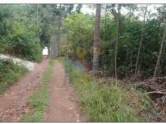 #48 JN - Chácara para Venda em Mandirituba - PR - 2