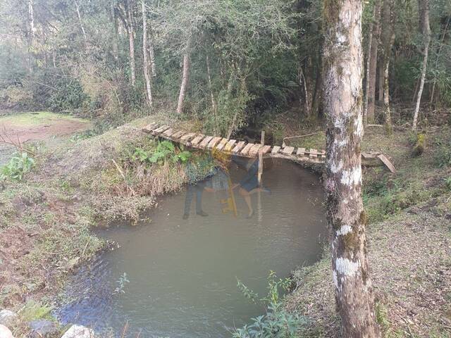#70 - Chácara para Venda em Curitiba - PR - 2