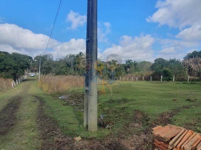 #70 - Chácara para Venda em Curitiba - PR - 3