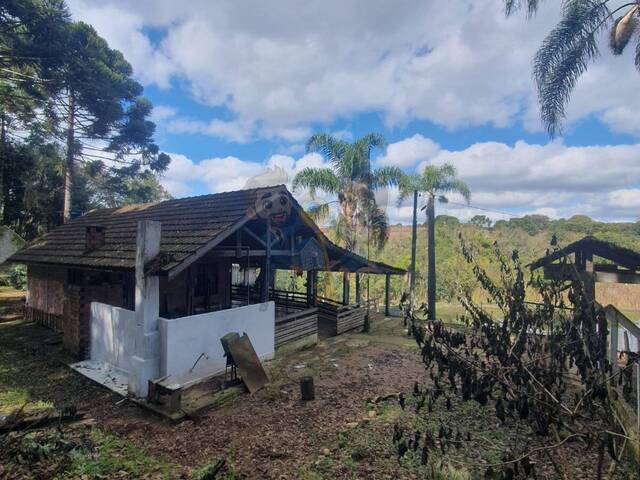 #70 - Chácara para Venda em Curitiba - PR - 1