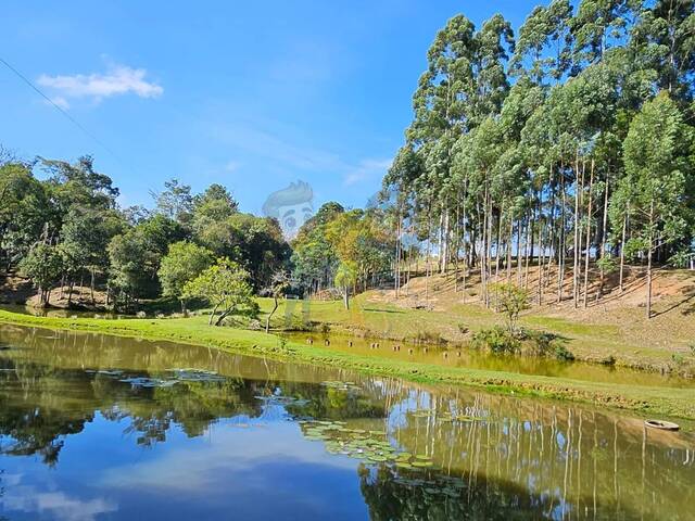 #74 UA - Chácara para Venda em Mandirituba - PR - 1