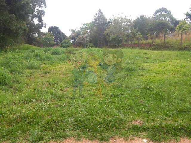 #75 UA - Chácara para Venda em Mandirituba - PR - 1