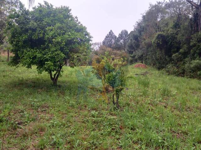 #75 UA - Chácara para Venda em Mandirituba - PR - 3