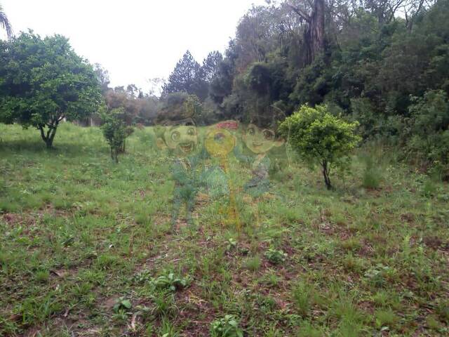 Chácara para Venda em Mandirituba - 4