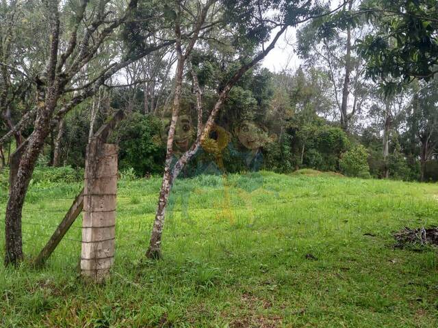 #75 UA - Chácara para Venda em Mandirituba - PR - 2