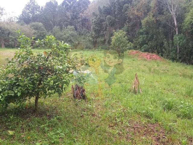 Chácara para Venda em Mandirituba - 5