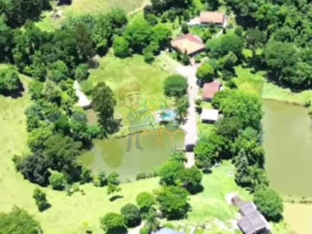 #76 UA - Chácara para Venda em Mandirituba - PR - 1