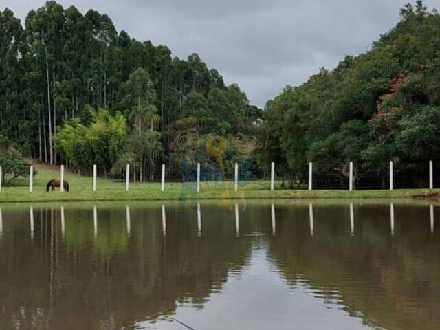 #78 UA - Chácara para Venda em Mandirituba - PR - 2