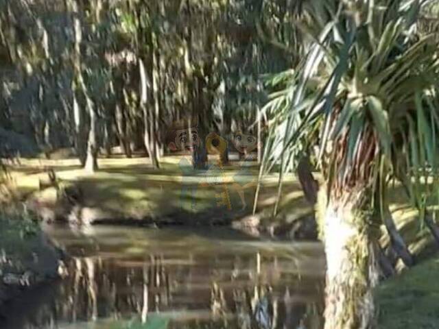 #78 UA - Chácara para Venda em Mandirituba - PR - 3