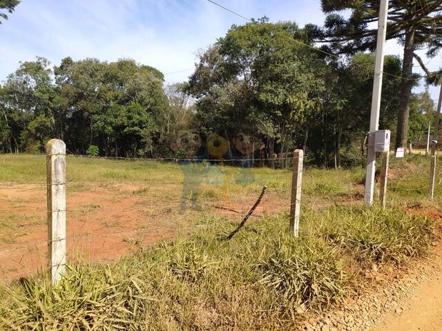 #88 UA - Chácara para Venda em Mandirituba - PR - 2