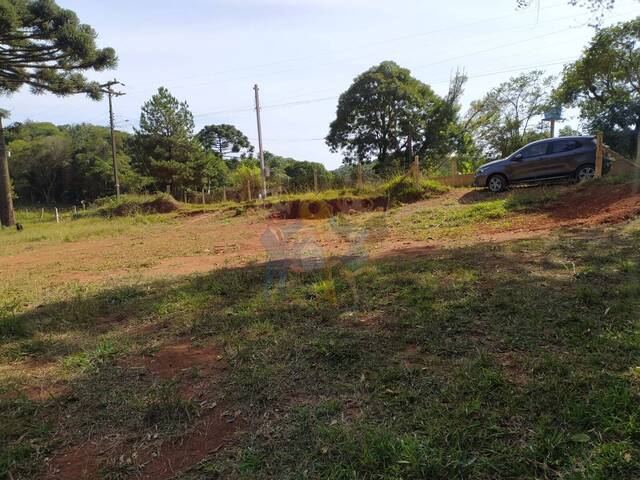 #88 UA - Chácara para Venda em Mandirituba - PR - 3