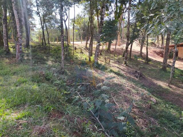 Chácara para Venda em Mandirituba - 4