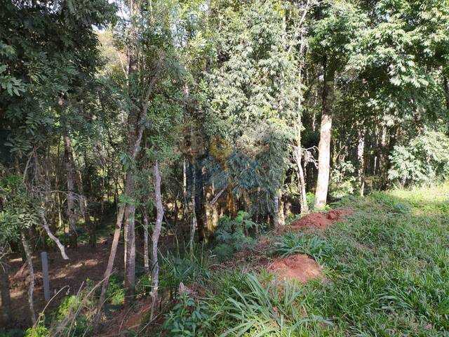 Chácara para Venda em Mandirituba - 5