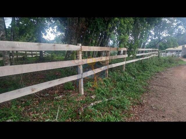 #89 UA - Terreno para Venda em Mandirituba - PR - 3