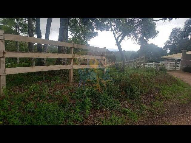 Terreno para Venda em Mandirituba - 5