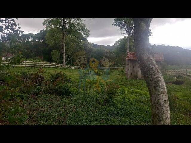 #89 UA - Terreno para Venda em Mandirituba - PR - 1