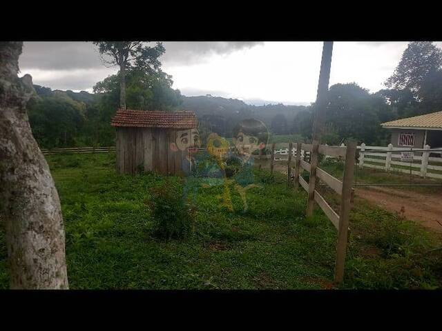 Terreno para Venda em Mandirituba - 4