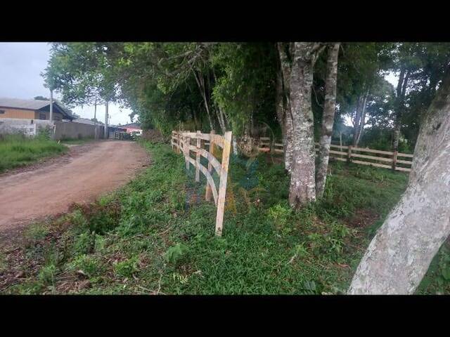 #89 UA - Terreno para Venda em Mandirituba - PR - 2