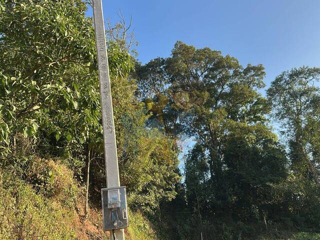 #90 UA - Terreno para Venda em Mandirituba - PR - 3