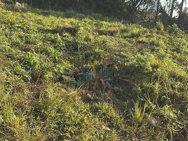 #90 UA - Terreno para Venda em Mandirituba - PR - 1