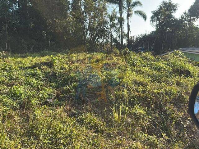 #90 UA - Terreno para Venda em Mandirituba - PR - 2