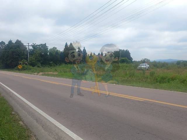 #94 UA - Terreno para Venda em Mandirituba - PR - 2