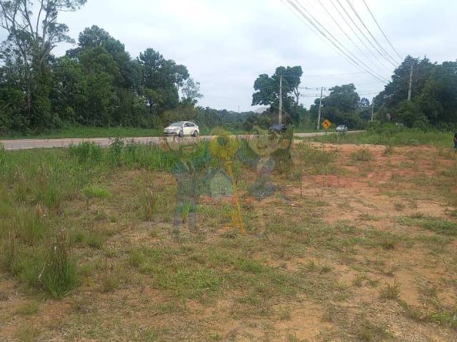 Terreno para Venda em Mandirituba - 4