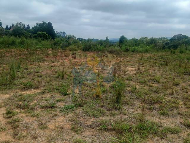 Terreno para Venda em Mandirituba - 5