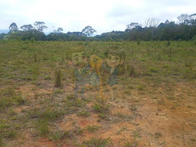 #94 UA - Terreno para Venda em Mandirituba - PR - 1